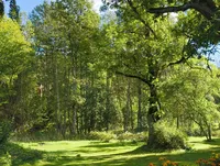 Heart of the Sunrise